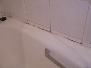 What do I do if I find mould growing in my house?