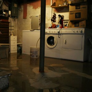 What do I do if there is water in my basement?